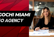 Egochi Miami SEO Agency