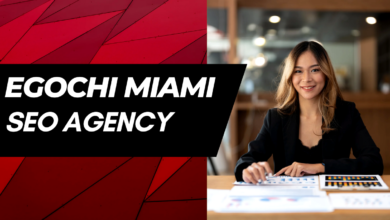 Egochi Miami SEO Agency