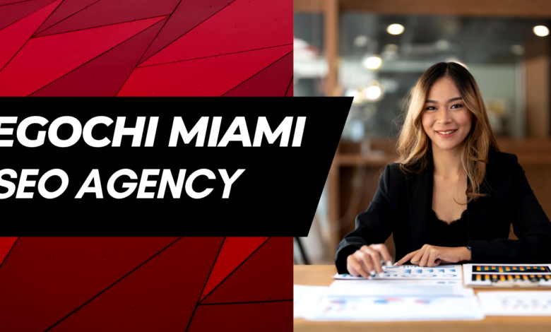 Egochi Miami SEO Agency